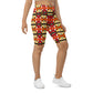 DMV 1554 Vintage Artsy Biker Shorts