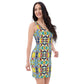 DMV 0379 Vintage Artsy Bodycon dress