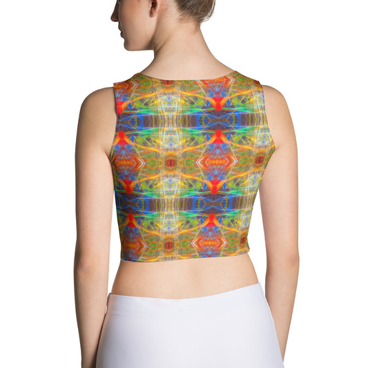 DMV 0191 Avant Garde Artsy Crop Top