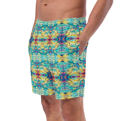 DMV 0231 Chic Boho Men's swim trunks