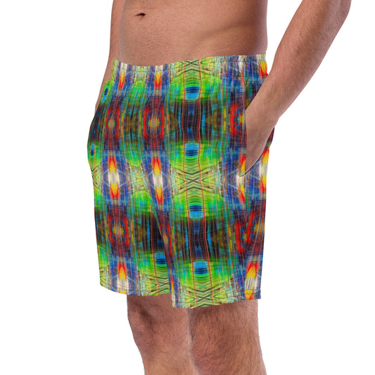 DMV 0077 Avant Garde Artsy Men's swim trunks