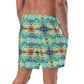 DMV 0231 Chic Boho Men's swim trunks