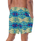 DMV 1219 Chic Boho Men's swim trunks