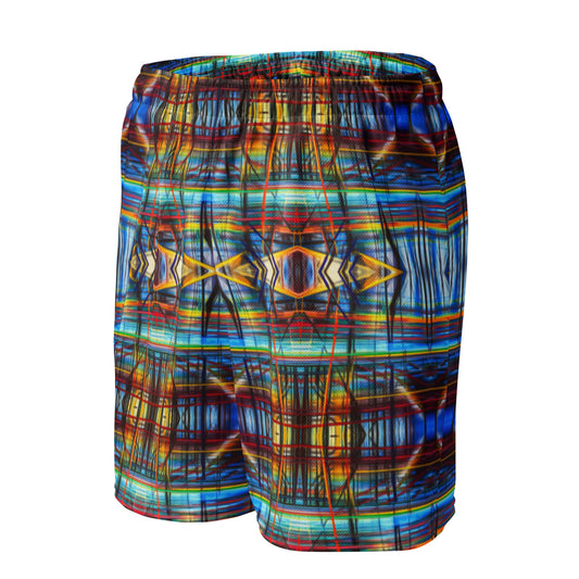 DMV 0228 Avant Garde Artsy Unisex mesh shorts