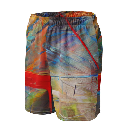 DMV 0248 Avant Garde Unisex mesh shorts