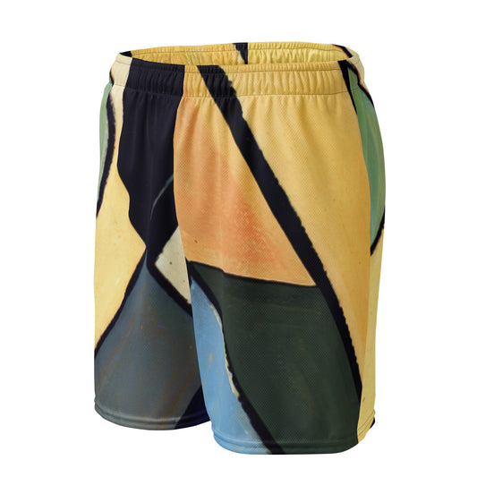 DMV 0234 Abstract Art Unisex mesh shorts