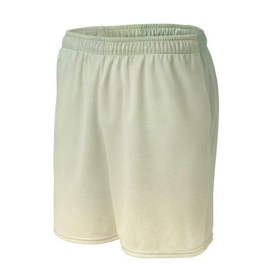 DMV 0252 Avant Garde Unisex mesh shorts