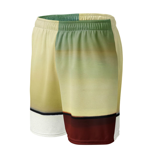 DMV 0177 Avant Garde Unisex mesh shorts