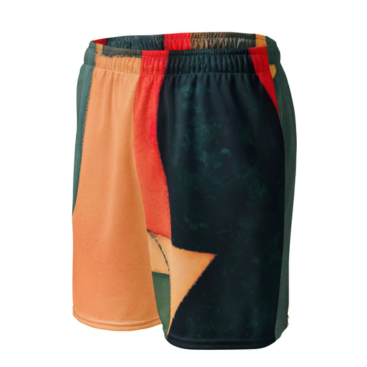 DMV 1344 Abstract Art Unisex mesh shorts