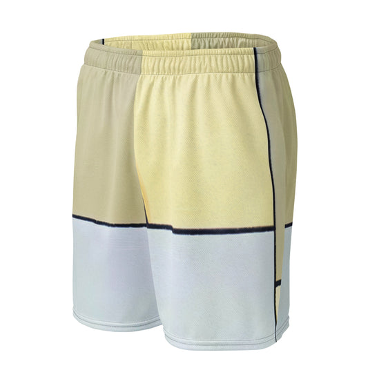 DMV 1347 Avant Garde Unisex mesh shorts