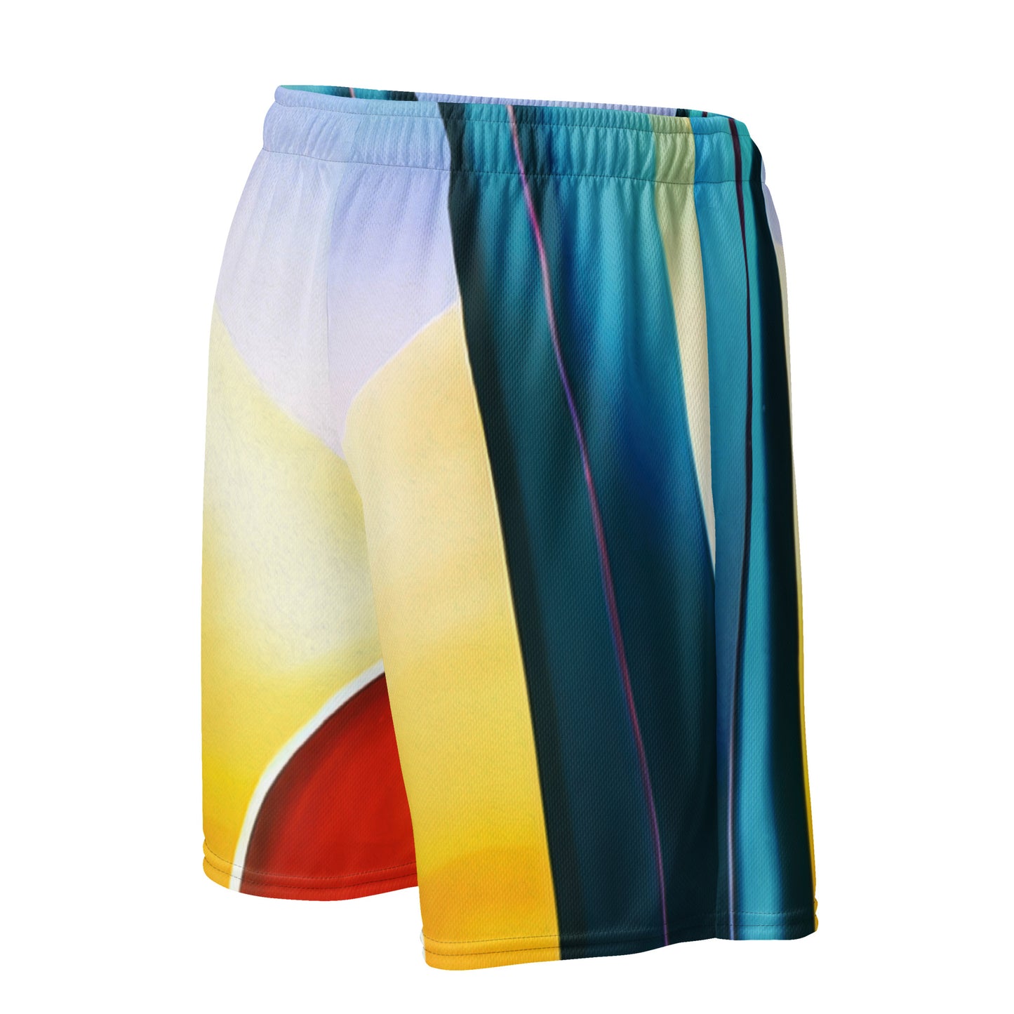 DMV 0262 Retro Art Unisex mesh shorts