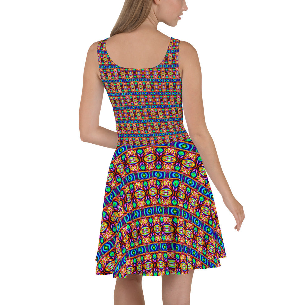 DMV 0245 Psy Artsy Skater Dress