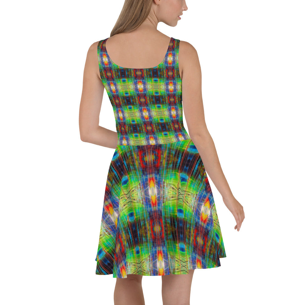 DMV 0077 Avant Garde Artsy Skater Dress