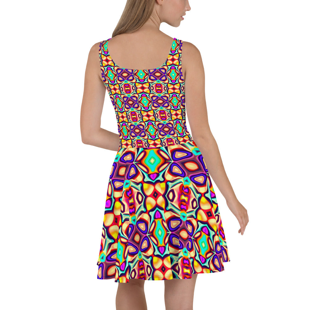 DMV 1357 Psy Artsy Skater Dress