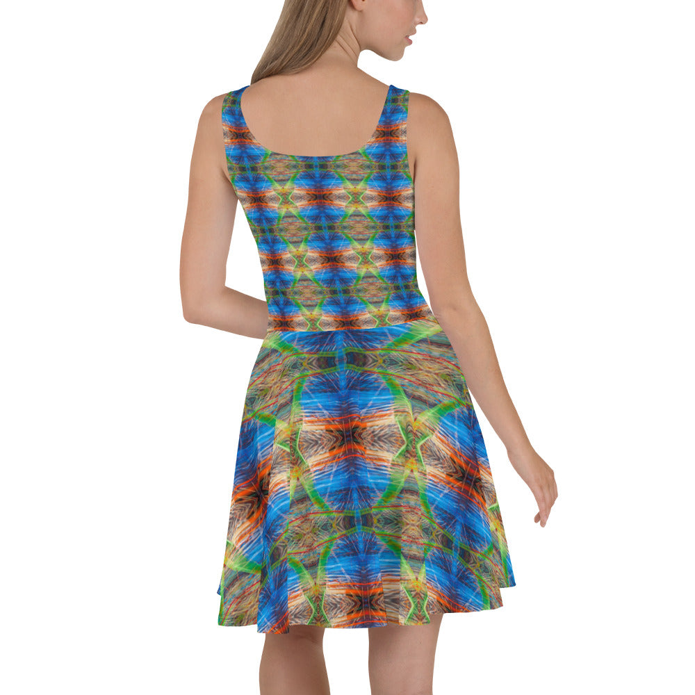 DMV 1305 Avant Garde Artsy Skater Dress