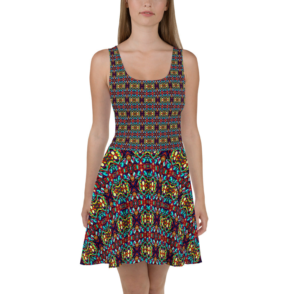 DMV 0091 Psy Artsy Skater Dress