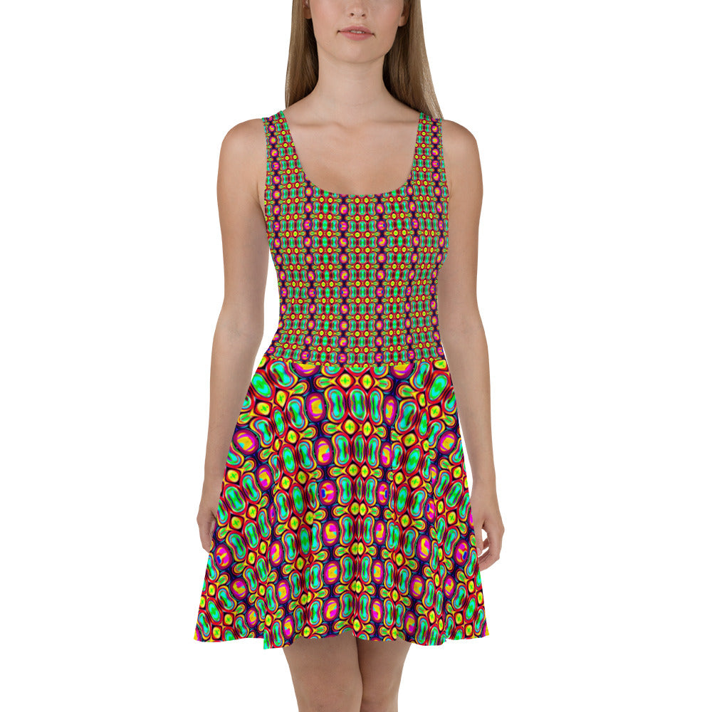 DMV 1343 Psy Artsy Skater Dress