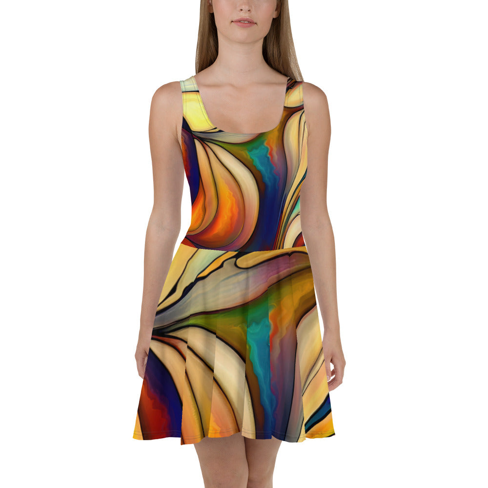 DMV 1276 Abstract Art Skater Dress