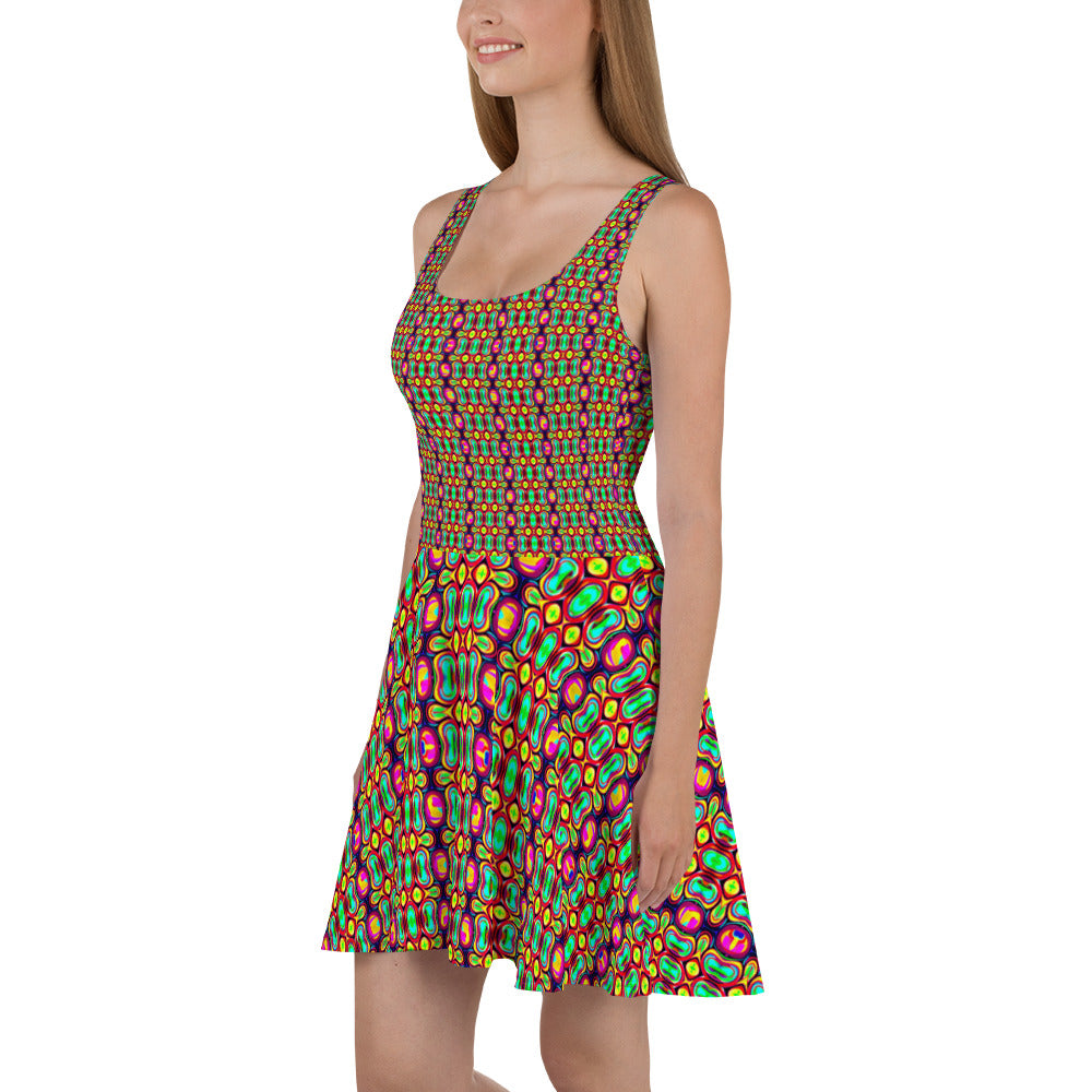 DMV 1343 Psy Artsy Skater Dress