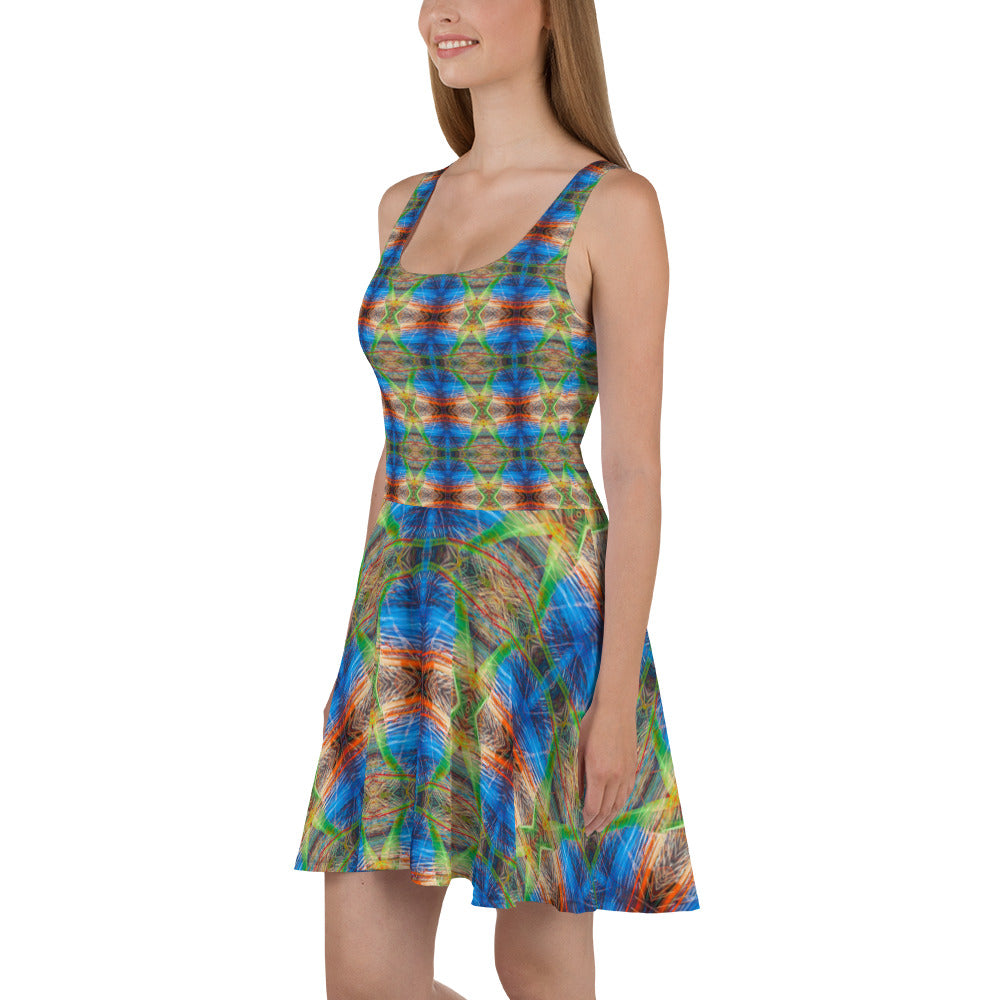 DMV 1305 Avant Garde Artsy Skater Dress