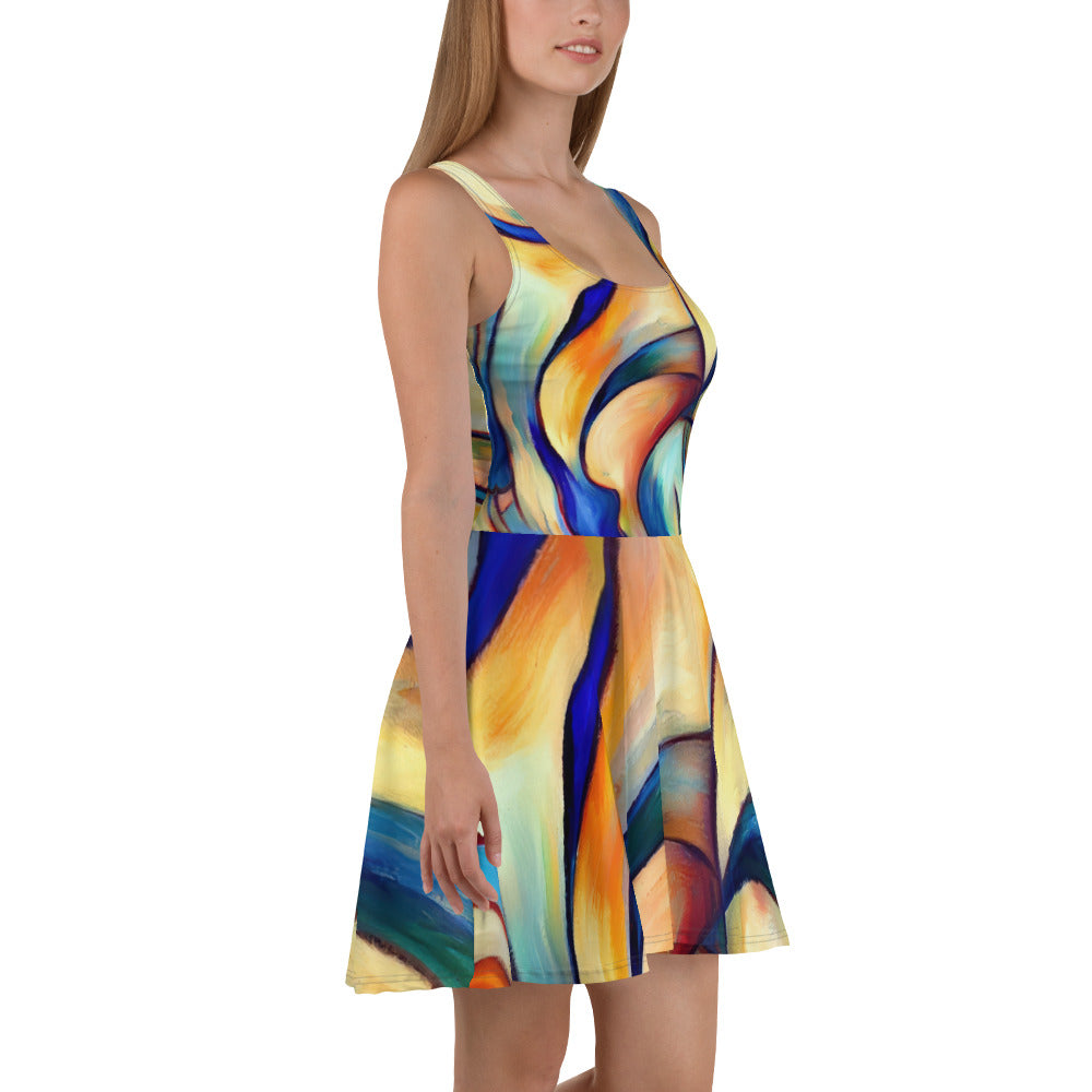 DMV 0162 Abstract Art Skater Dress