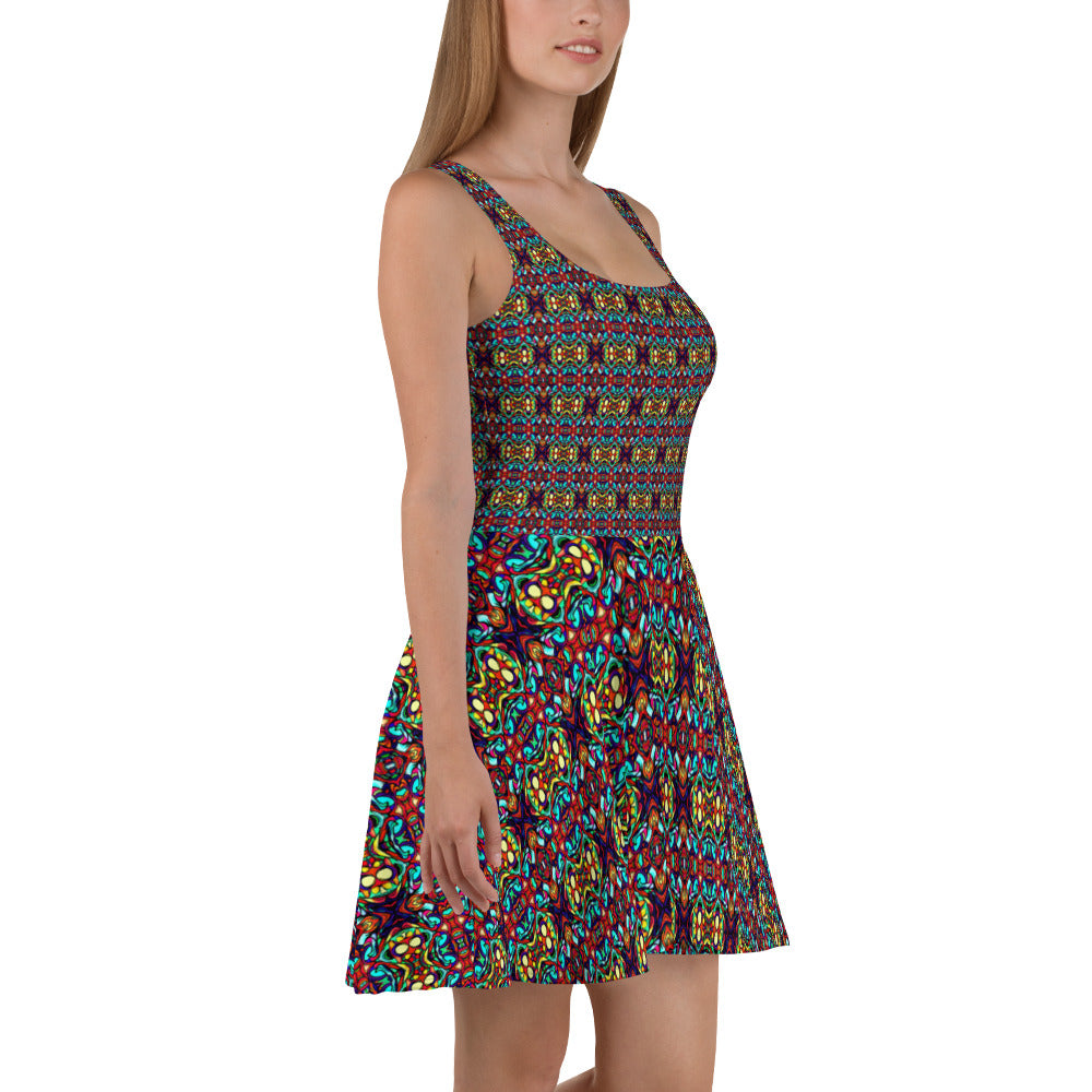 DMV 0091 Psy Artsy Skater Dress