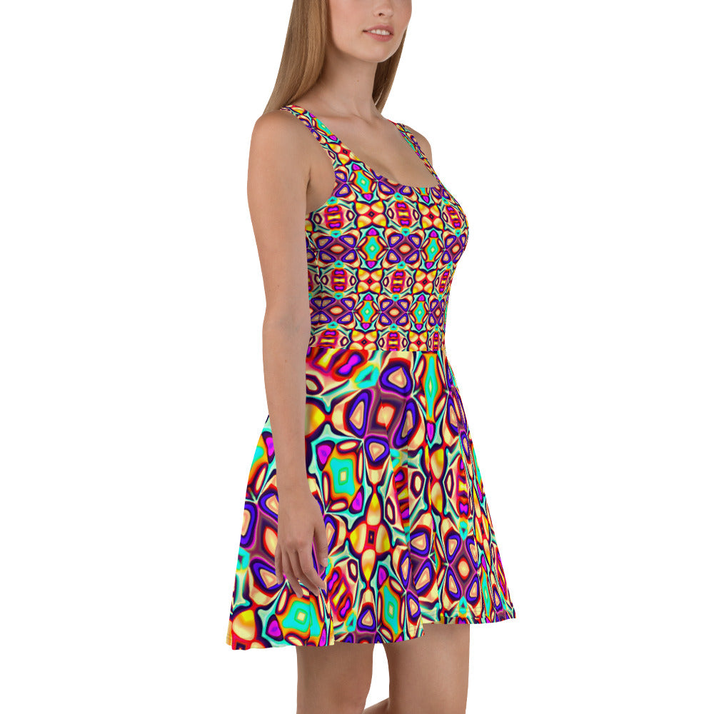 DMV 1357 Psy Artsy Skater Dress