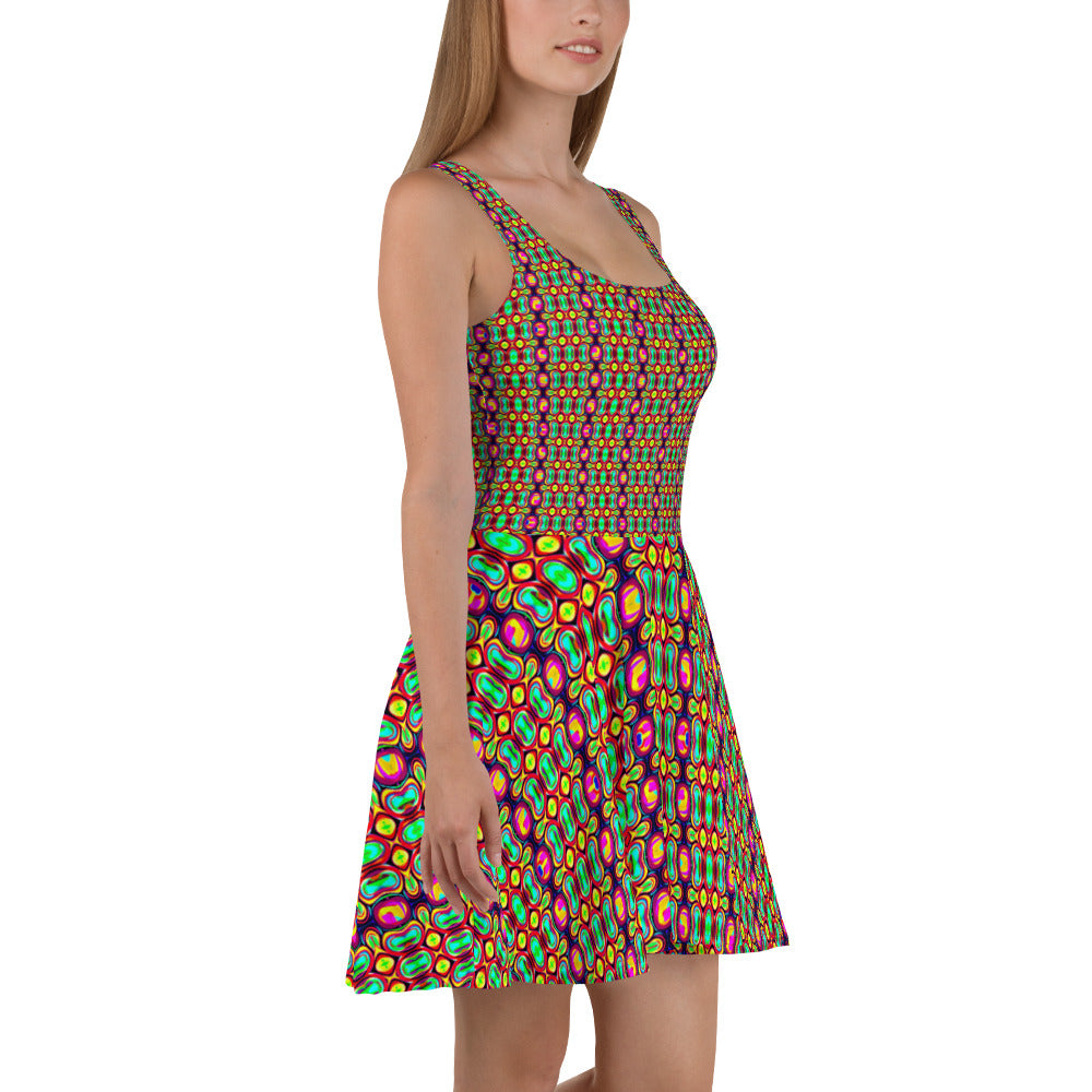 DMV 1343 Psy Artsy Skater Dress