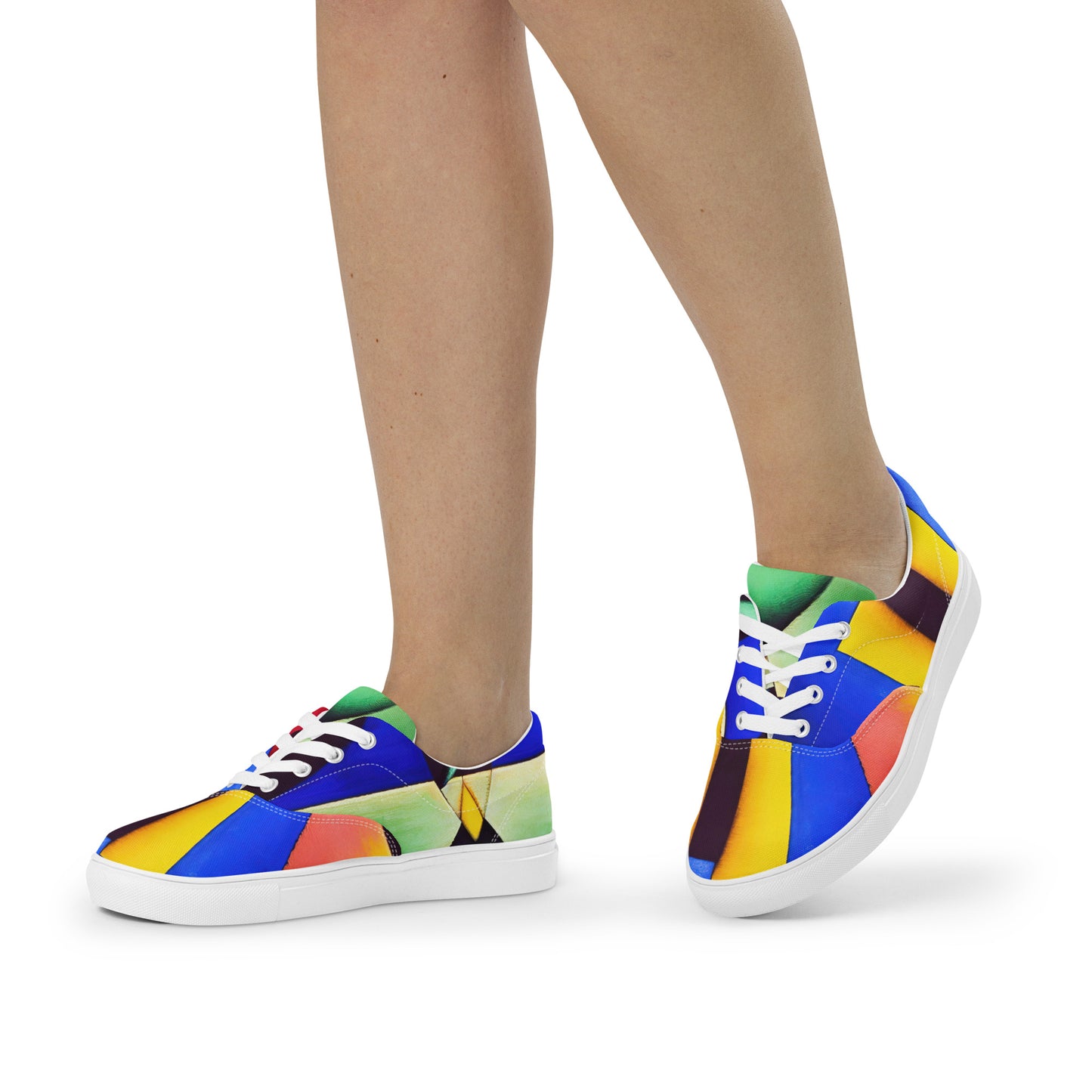 DMV 0255 Retro Art Women’s lace-up canvas shoes